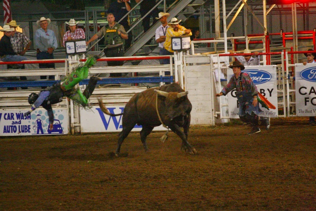 rodeo