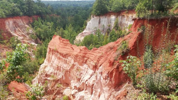 Providence Canyon, il dipinto naturale dalle 43 sfumature
