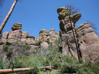 Chiricahua National Monument